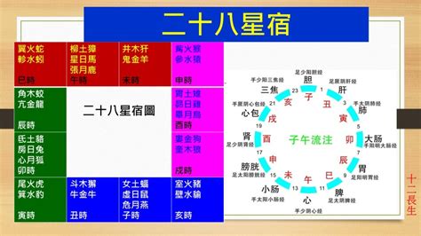 臨官意思|八字十二長生解讀——胎、養